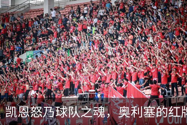 凯恩怒乃球队之魂，奥利塞的红牌神奇秀引发无奈